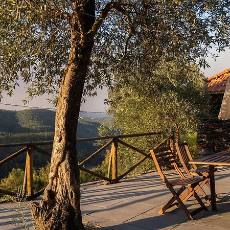 Casa Da Colina Villa Amarante Dış mekan fotoğraf